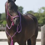 liberty capezza combinata REGALO