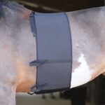 fascia di rispetto norton S