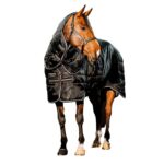horsewere 200gr idrorepellente
130