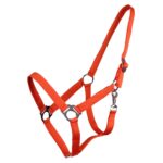 cavezza arancione cob