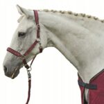 hkm cavezza viola 
pony