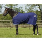 pile ornament qhp 165