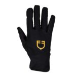 equestro logo giallo l