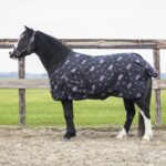 qhp coperta paddock
100gr 115