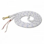 longia whald parelli