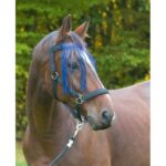 caccia via le mosche