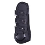 qhp stinchiere champion pony