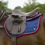 qhp sottosella eldorado pony