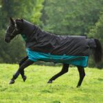 horsewere paddock 
con collo 200gr 145