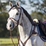 testiera ergonomica 
nera full