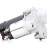 pararamponi equestro pelo