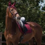 sottosella QHP royal full