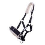 cavezza pelo shetty
blu