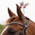 accessorio da testiera elfo qhp