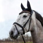 hkm testiera con redini full