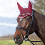 cuffia petrolio hkm
shetty