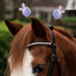 pasqua sopratestiera