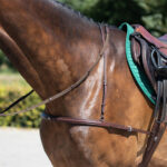 qhp reggisella 
black cob