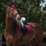 sottosella lilla pony