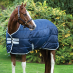 horsewere box 
350gr   130