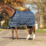 collo rinho a quadri