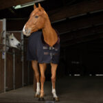 pile equitheam nero collo