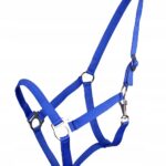 cavezza scetty royal