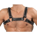 asta happy mouth 13.5