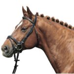 hkm testiera nera cob