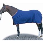 coperta pile 125
hkm