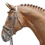 hkm testiera marr pony